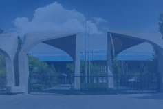 گالری تصاویر