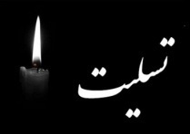 پیام تسلیت معاون دانشگاه تهران در پی حادثه شهر بندرعباس